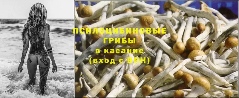 Галлюциногенные грибы MAGIC MUSHROOMS  ОМГ ОМГ зеркало  Харовск  как найти  